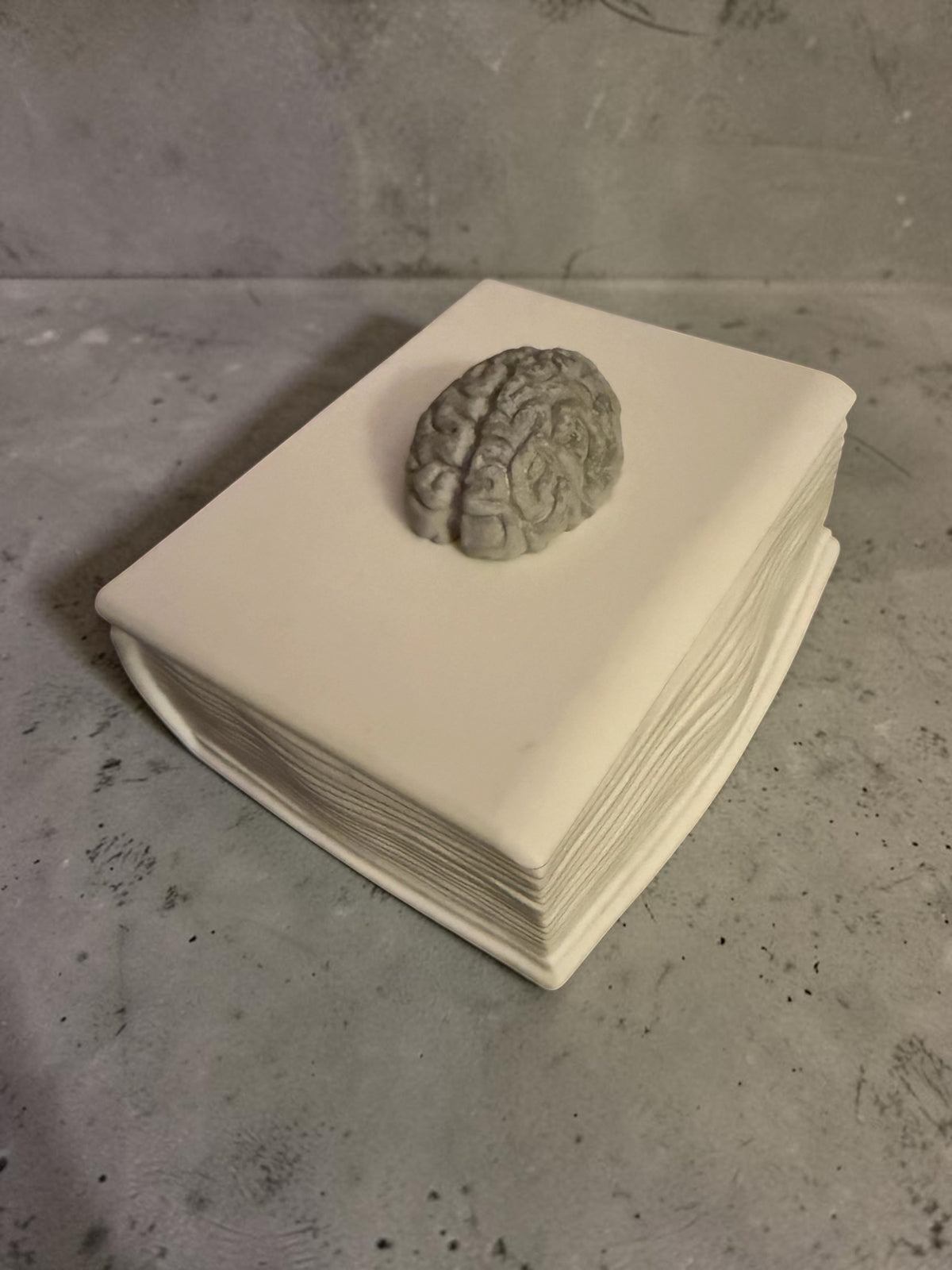 Brainbound Plaster Book Box (grey)