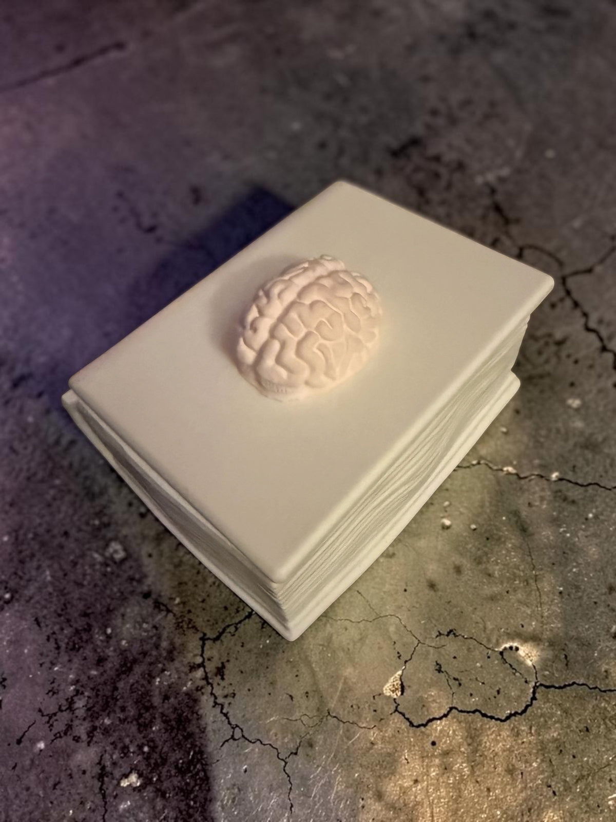 Brainbound Plaster Book Box (blush)