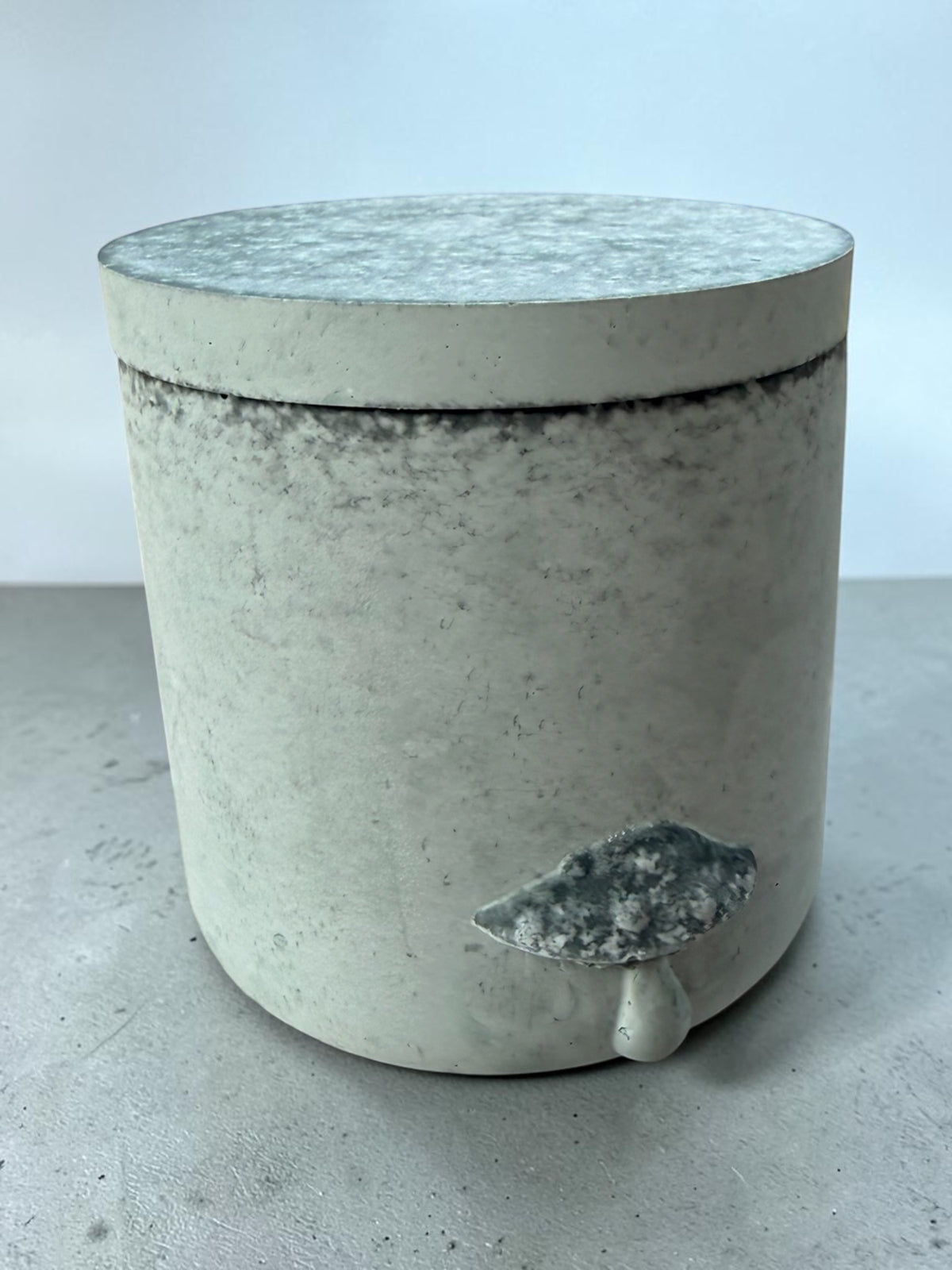 Moss & Sage Mushroom Plaster Jar With Lid