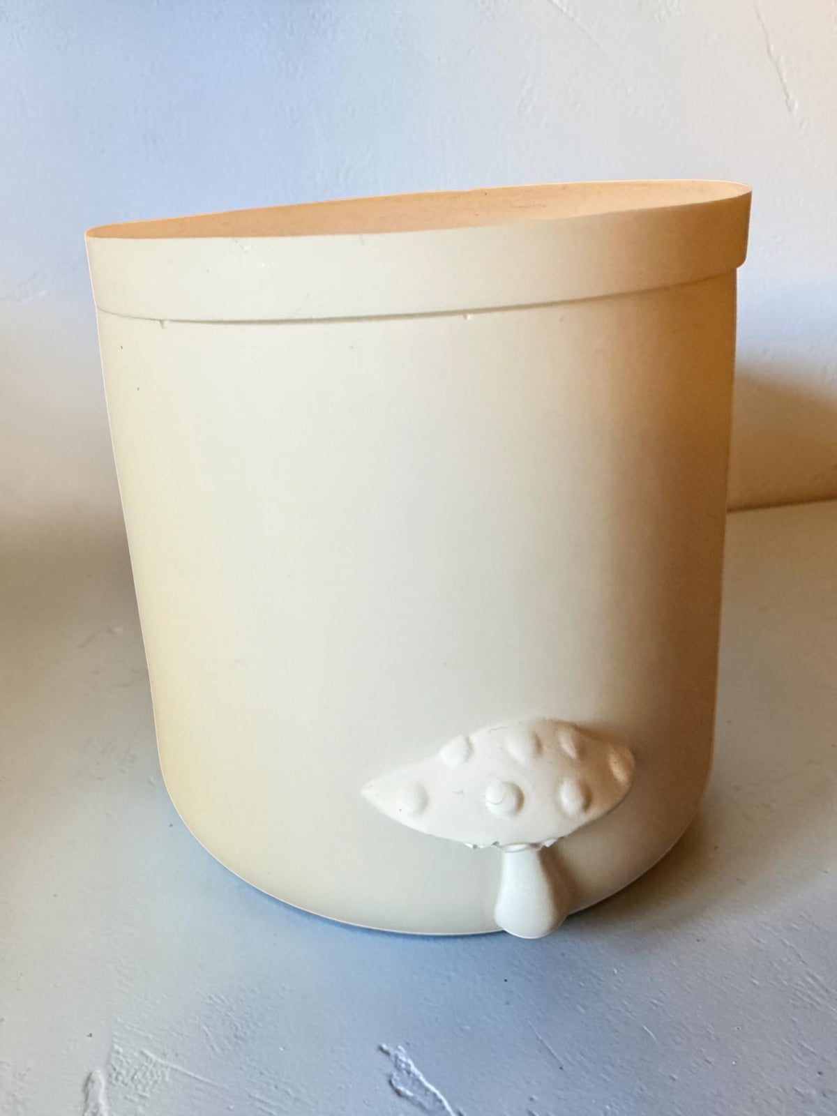 White Mushroom Plaster Jar