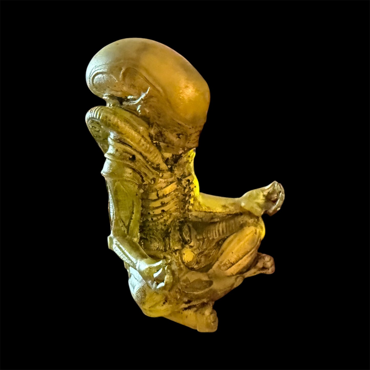 Inner Peace Was Never an Option: Resin Alien (seconds)