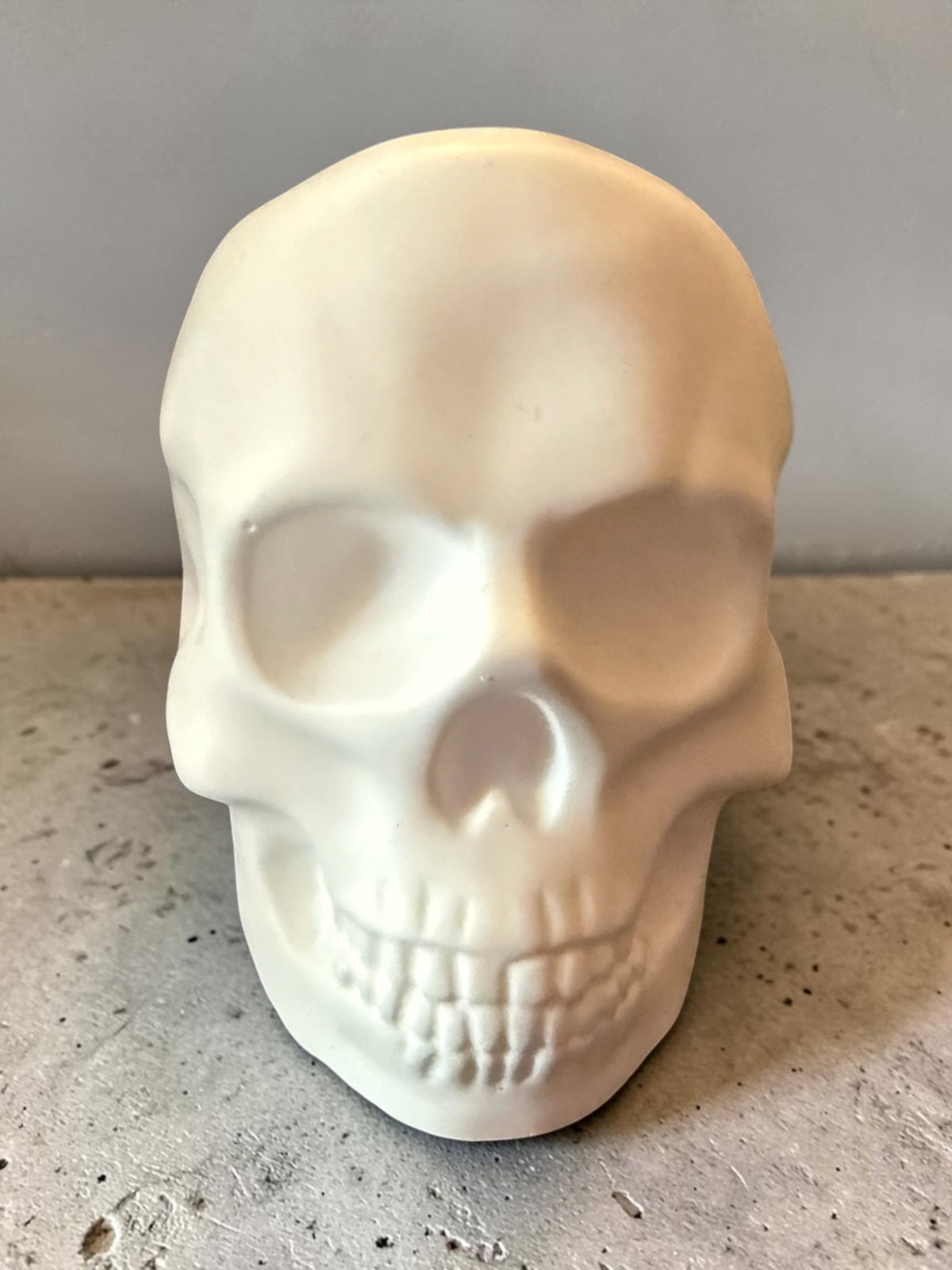 White Plaster Skull