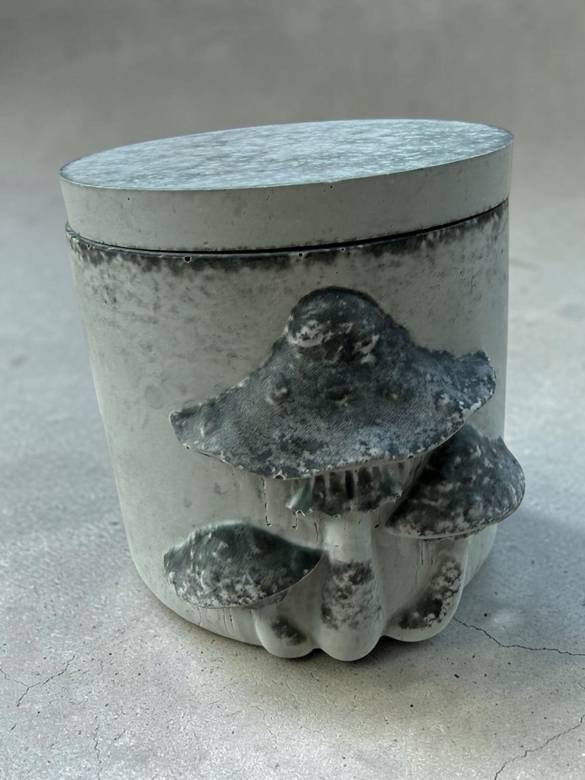 Moss & Sage Mushroom Plaster Jar With Lid