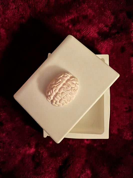 Brainbound Plaster Book Box (blush)