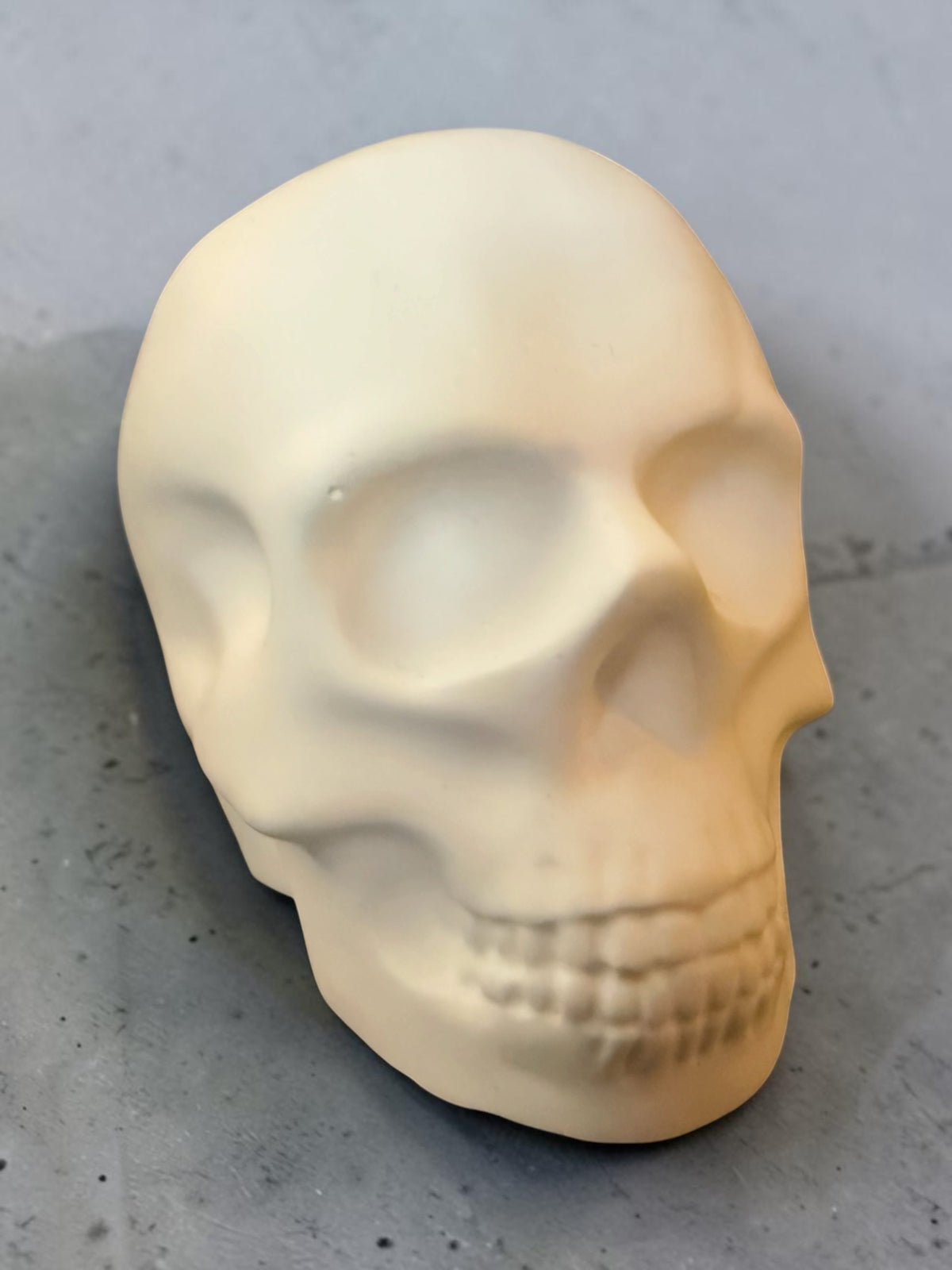 White Plaster Skull
