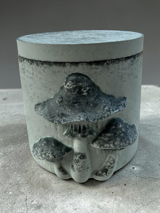 Moss & Sage Mushroom Plaster Jar With Lid