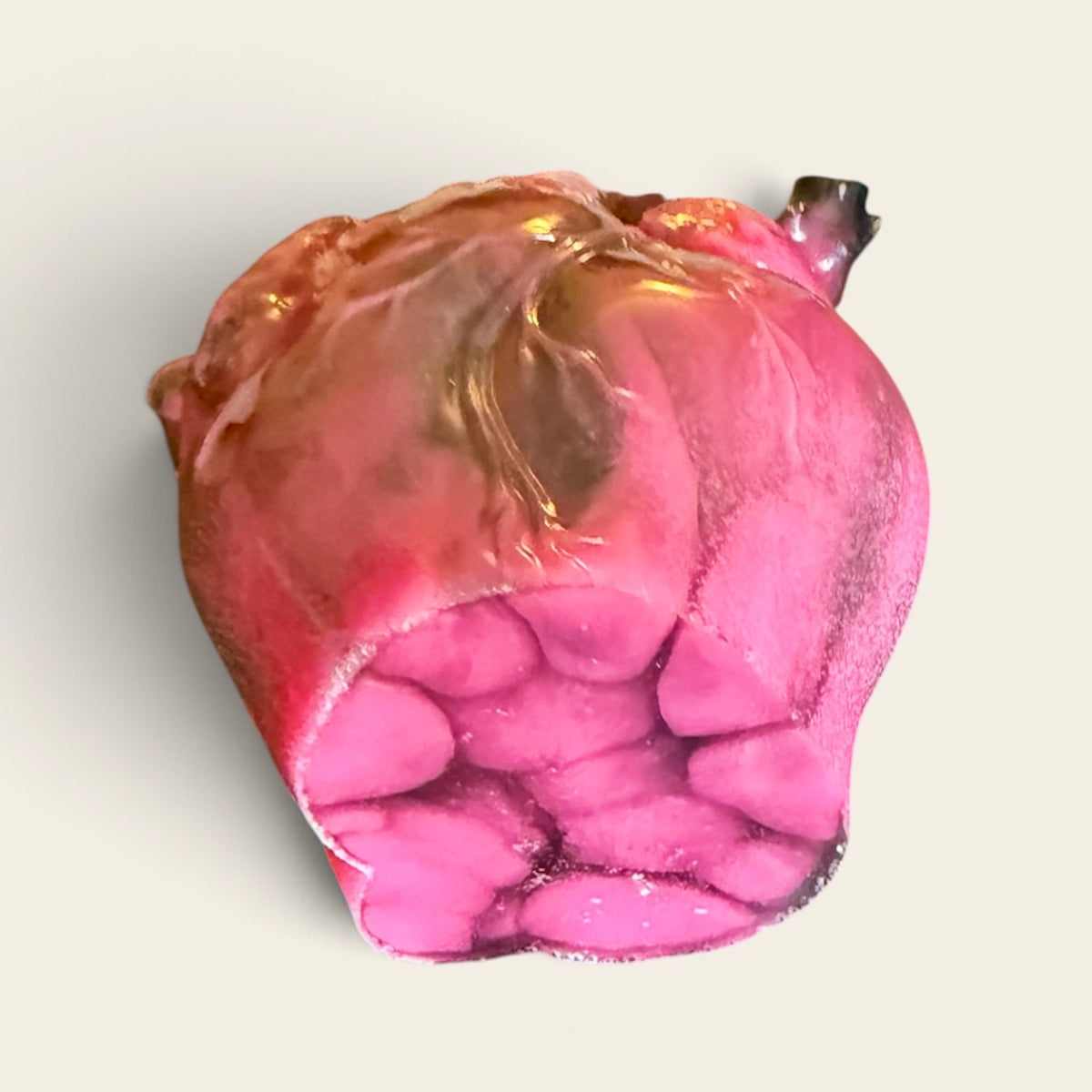 Bubblegum Anatomical Heart — Resin Sculpture