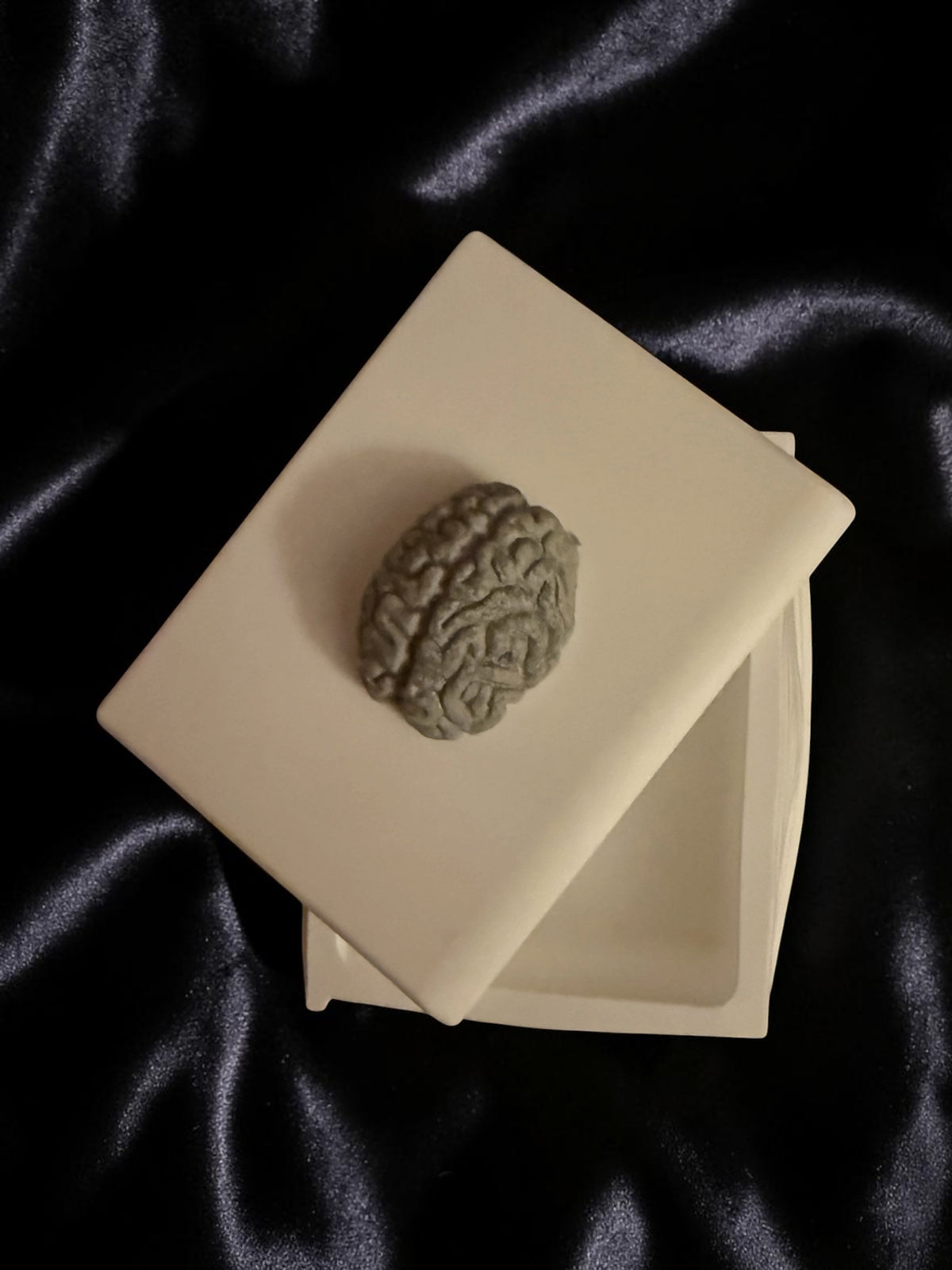 Brainbound Plaster Book Box (grey)