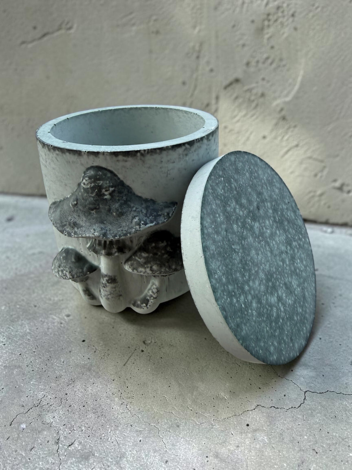 Moss & Sage Mushroom Plaster Jar With Lid
