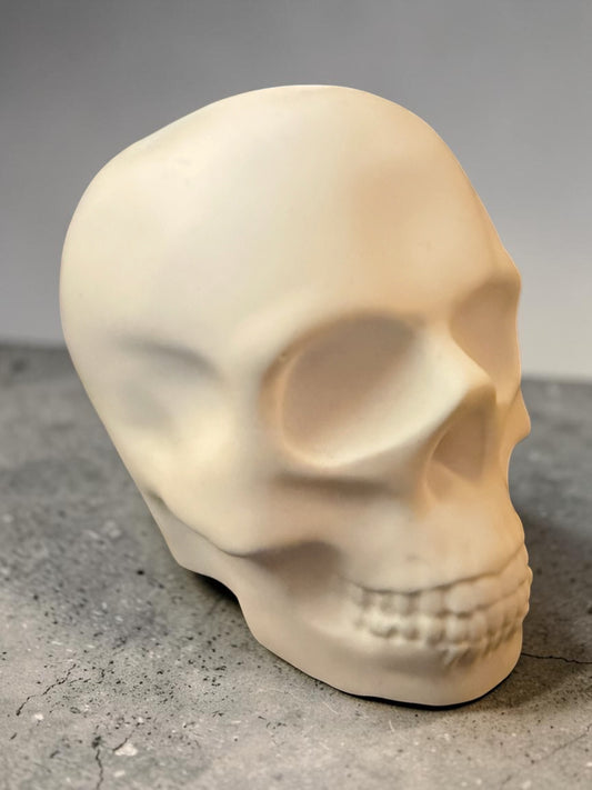 White Plaster Skull